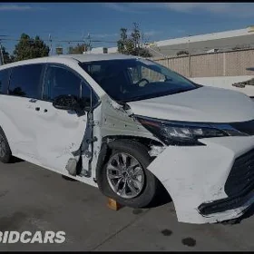 Toyota Sienna 2021