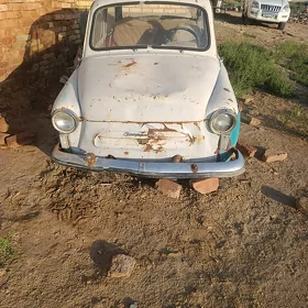 запорожьец