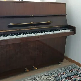 Pianino şatlyk ady Rönisch