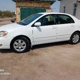 Diska carola S klas orginal 15