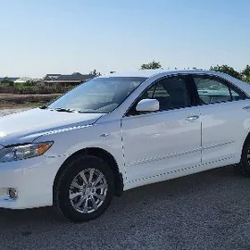 Toyota Camry 2010