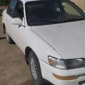 Toyota Corolla 1993