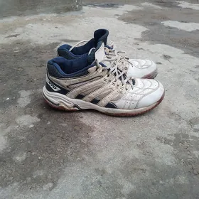 walibol igravoy krasofka