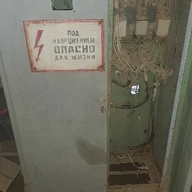 tok şit