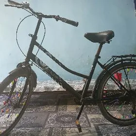 тигр.24.лик