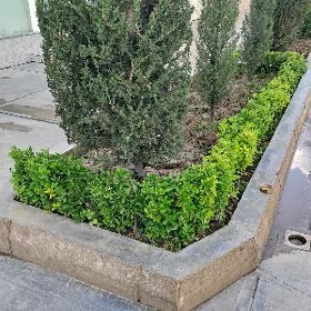 Садовник (Bagban)