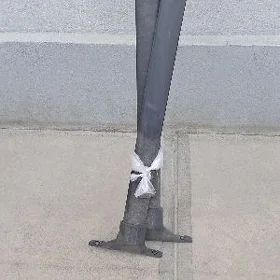 SIENNA 2021 Ÿ. LIŽASY