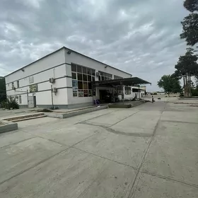 Satlyk zdanya 48 de