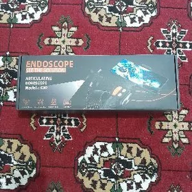 Endoskop camera
