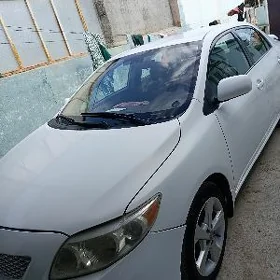 Toyota Corolla 2010