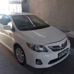 Toyota Corolla 2010