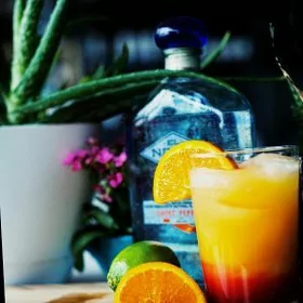 ищу работу бариста или бармен