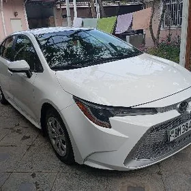 Toyota Corolla 2021