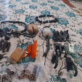 Lada şaÿlar tàzeje