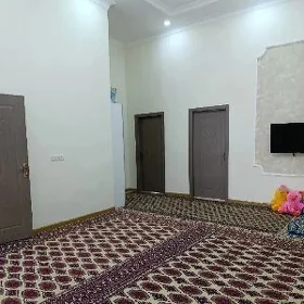 Cogonly   satlyk jay