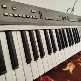 Yamaha 55