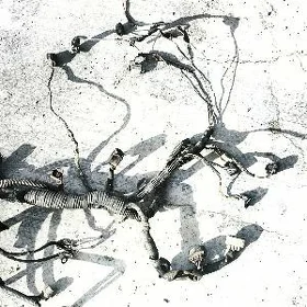 Lisichka kompyuter prowoda