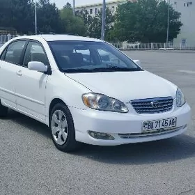Toyota Corolla 2007