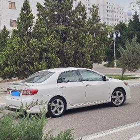 Toyota Corolla 2010