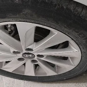 17Lik hunday disga admen 16lyk