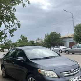 Toyota Corolla 2010