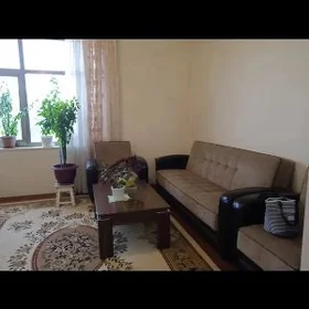 Arenda элитка arenda сдаю