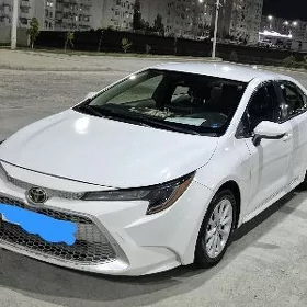 Toyota Corolla 2019