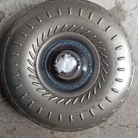 gazan 2.5 öküz kelle