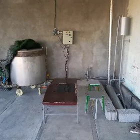 Süýt bişirýän, moloko edýän.