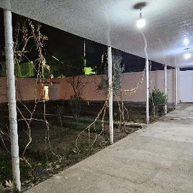 Saglyk daca gyssagly