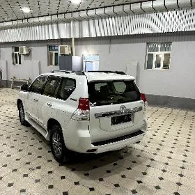 prado radnoy kowrik icnin kece