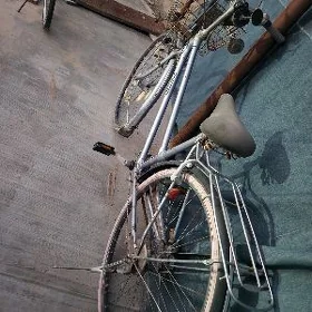 tigir 27 lik 3skorsly