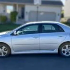 16 arginal disga pakrisga