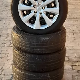 padisga pakrişga 16lyk karol