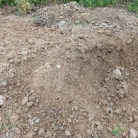 дерис йанан