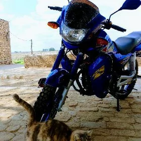 Fekon FK200-14G 2026