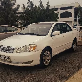 Toyota Corolla 2007
