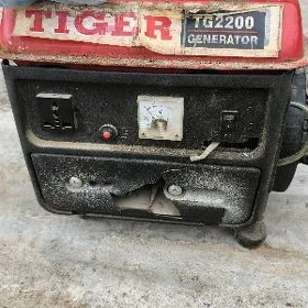 tok beriji generator