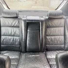 zavotskoy koza sdenya