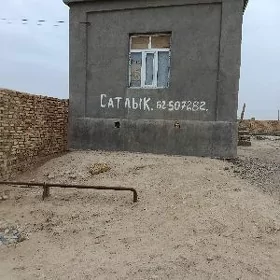 Satlyk jay