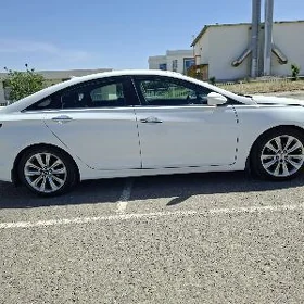 Hyundai Sonata 2010