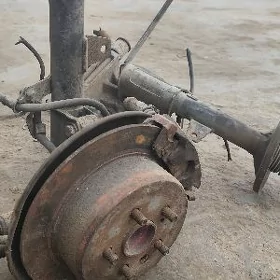 stupitsa carona carina e