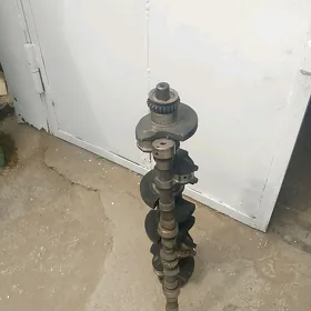 grandyn waly raspredi