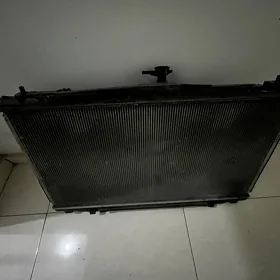 Palta radiator