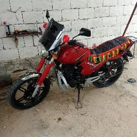 Fekon FK200-14G 2021