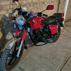 Fekon FK200-14G 2026