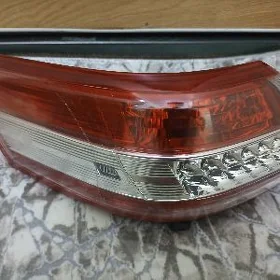 öküz kemri stopnik