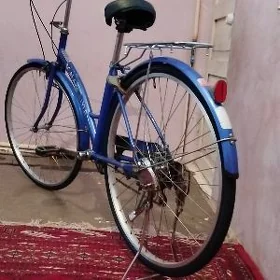 япошка.  27. лик