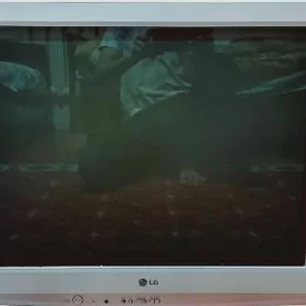 LG Telewizor