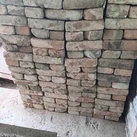 agnya uporni kerpic